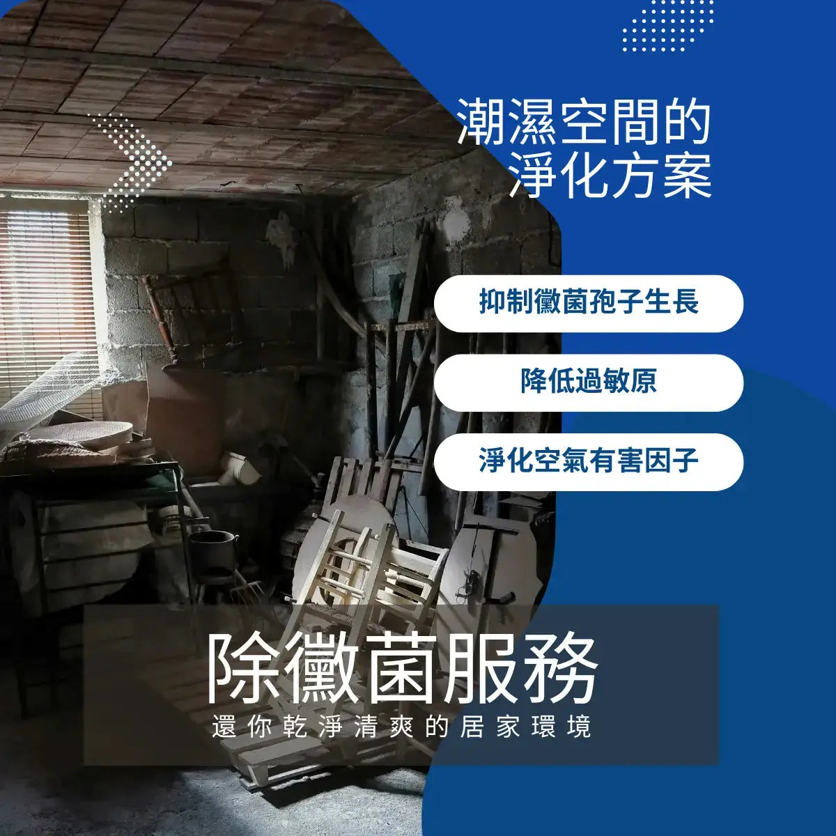 專業除黴服務